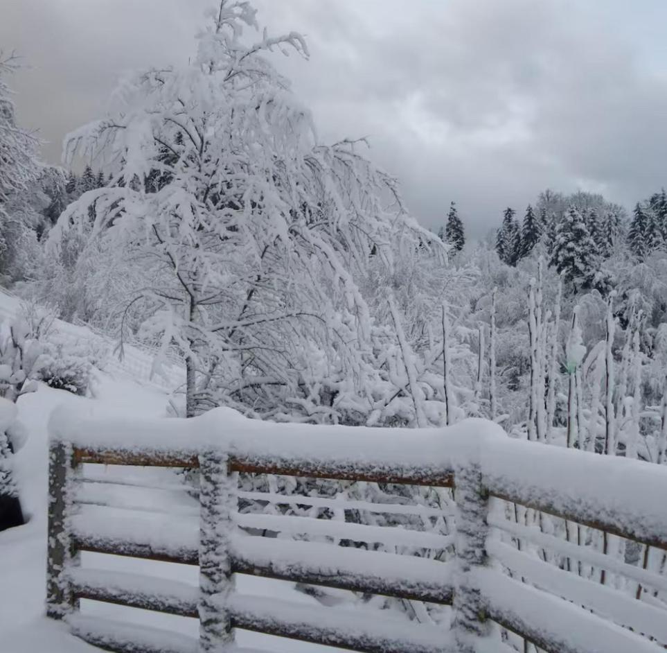 Gite La Bergerie Chalet Independant Kirchberg エクステリア 写真